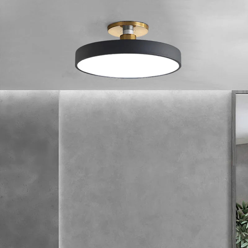 Afralia™ LED Ceiling Lamp for Living Room Study Child Bedroom Indoor Lighting