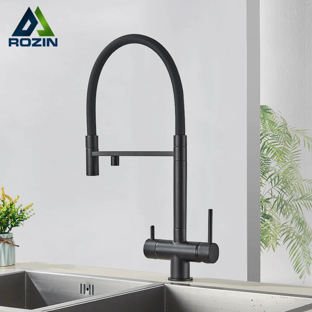 Afralia™ Black Kitchen Faucet with Pull Down Sprayer and 2-in-1 Purification Technology