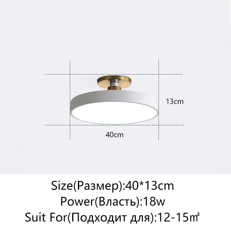 Afralia™ LED Ceiling Lamp for Living Room Study Child Bedroom Indoor Lighting