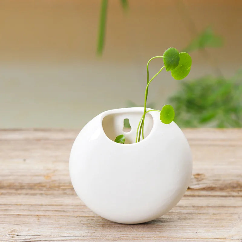 Afralia™ Round Wall Hanging Vase for Stylish Floral Arrangements