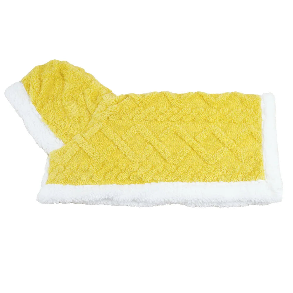 Afralia™ Cozy Velvet Pet Blanket for Autumn/Winter Comfort