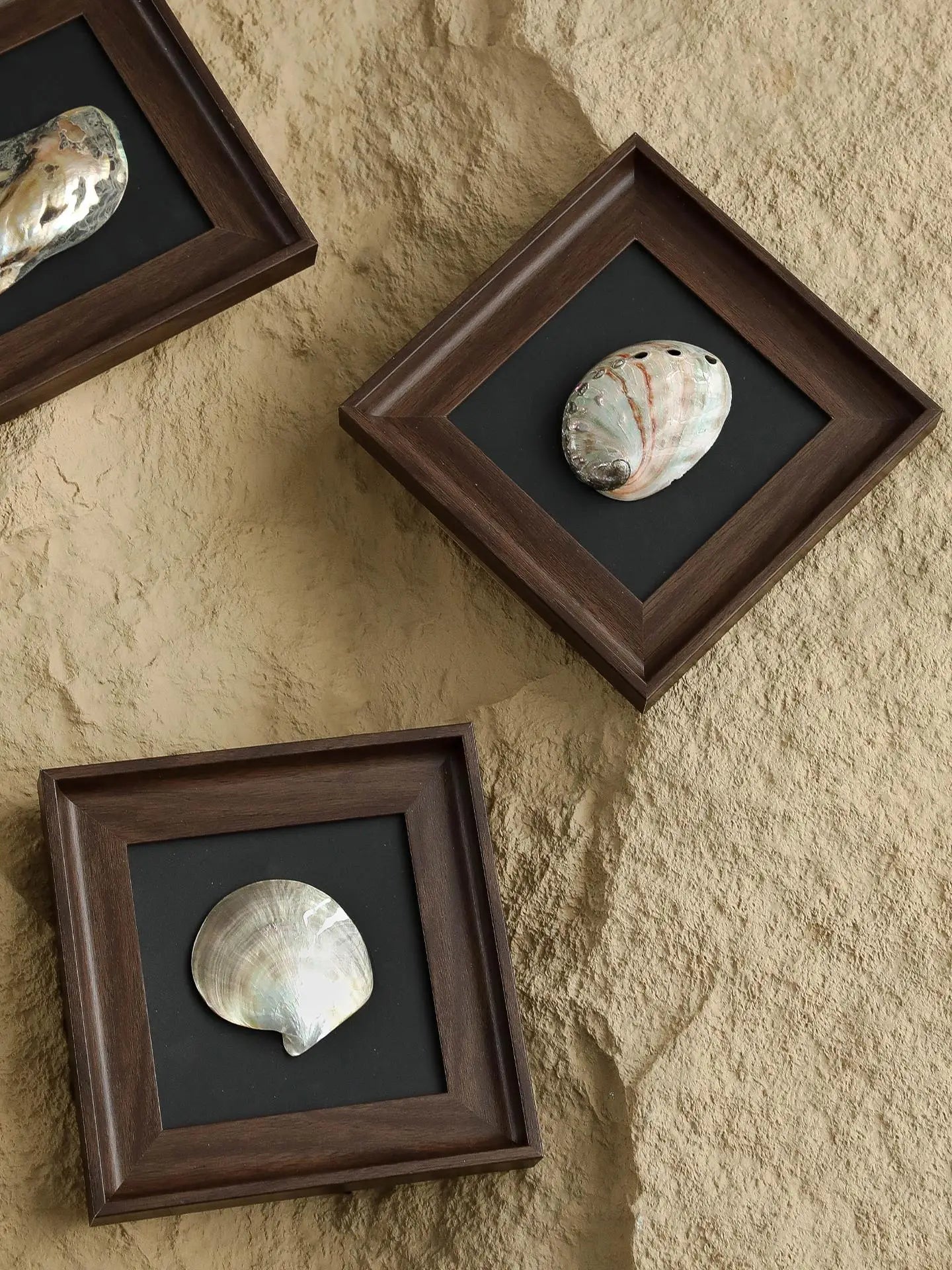 Afralia™ Conch Shell Decorative Painting Frame Pendant Wall Ornaments