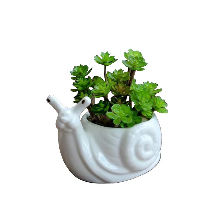 Afralia™ Cartoon Snail Flower Vase Succulent Pot for Garden Decoration