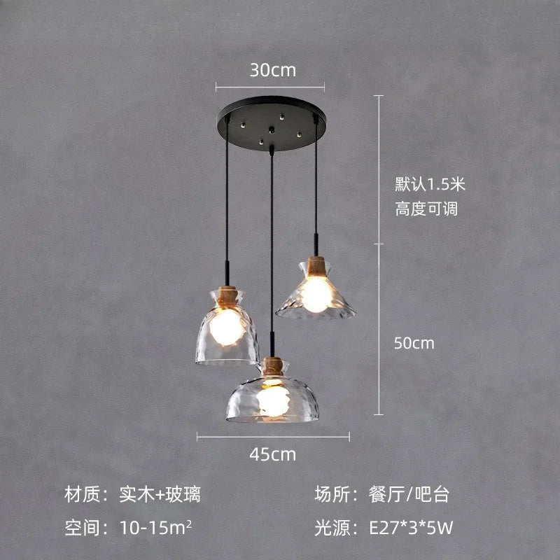 Afralia™ Clear Glass Pendant Lamp with LED Lights for Home Decor