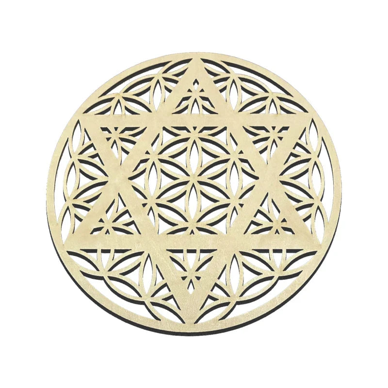 48027856535856|48027856568624