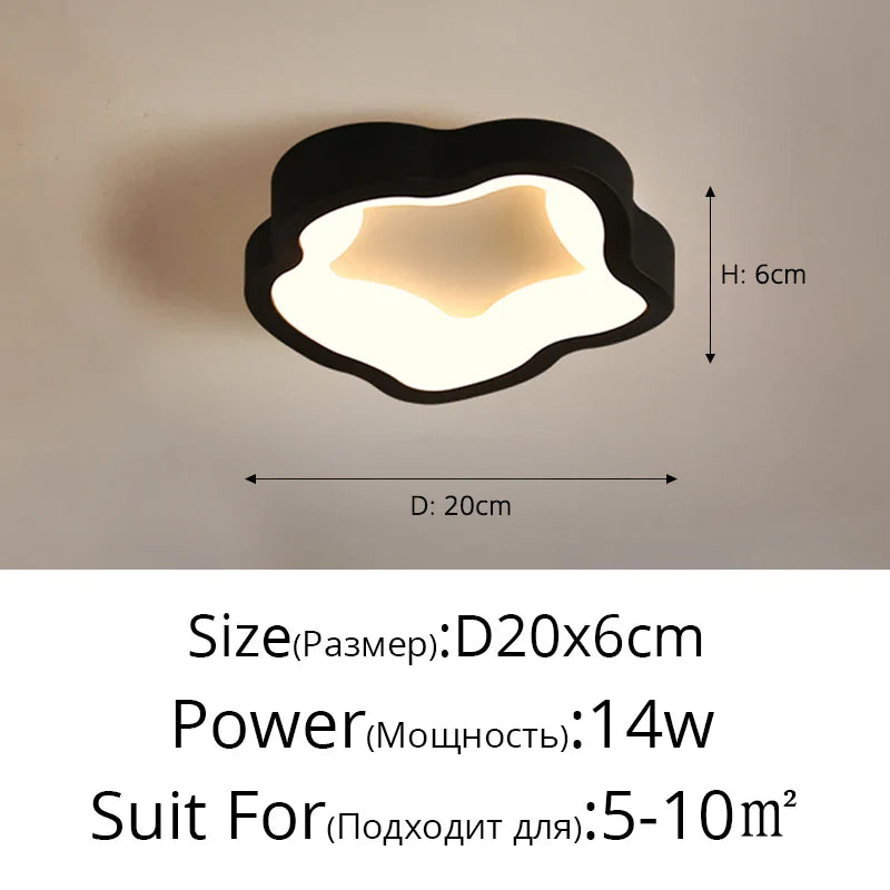 48216634097968|48216634229040|48216634294576