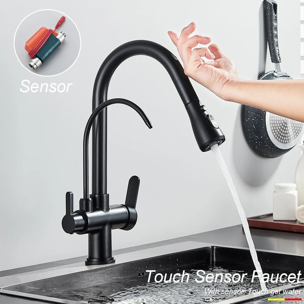 Afralia™ Dual Handle Kitchen Faucet with Black Touch Sensor and Three Modes