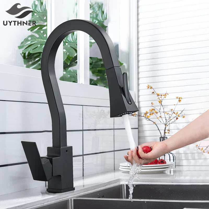 Afralia™ Uythner Black Kitchen Faucet with Pull Out Spray Head and 360° Rotation