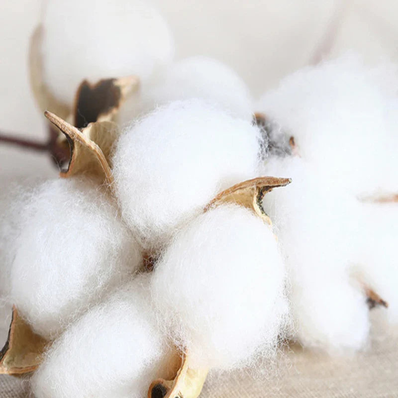 Afralia™ Brushed Cotton Printed Duvet Cover Set - Single/Double Bed Bedclothes