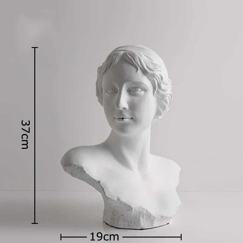 Afralia™ Venus Girl Resin Sculpture Room Aesthetics Decor