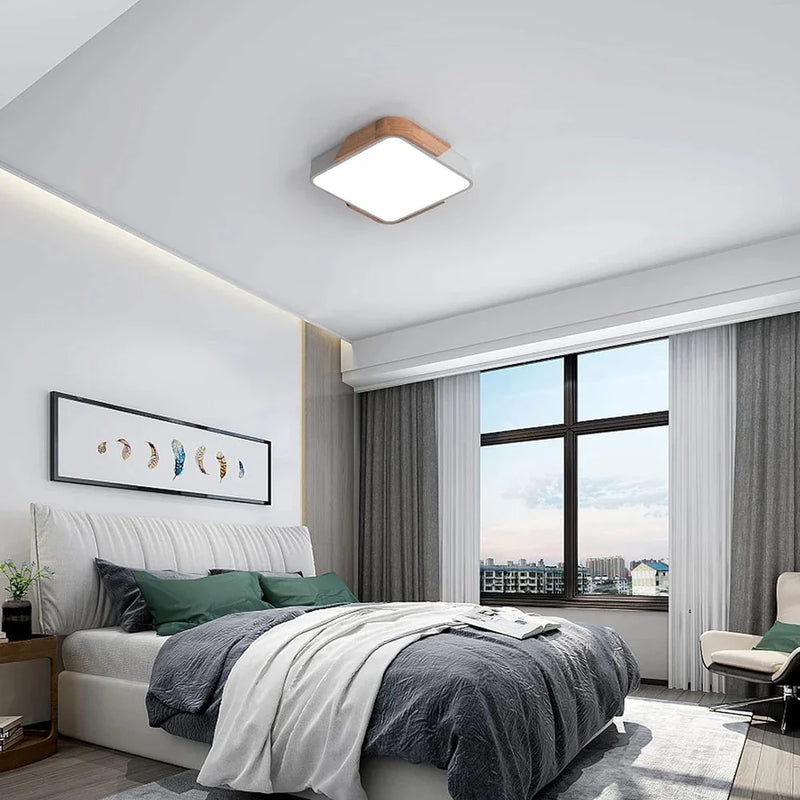 Afralia™ LED Ceiling Light for Modern Indoor Lighting Decor