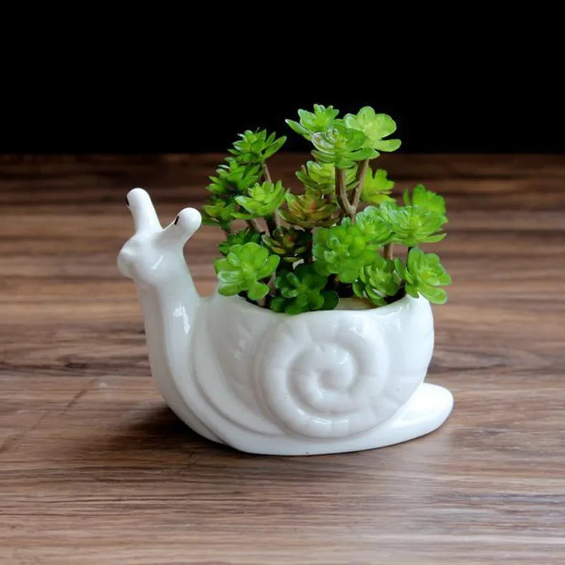 Afralia™ Cartoon Snail Flower Vase Succulent Pot for Garden Decoration