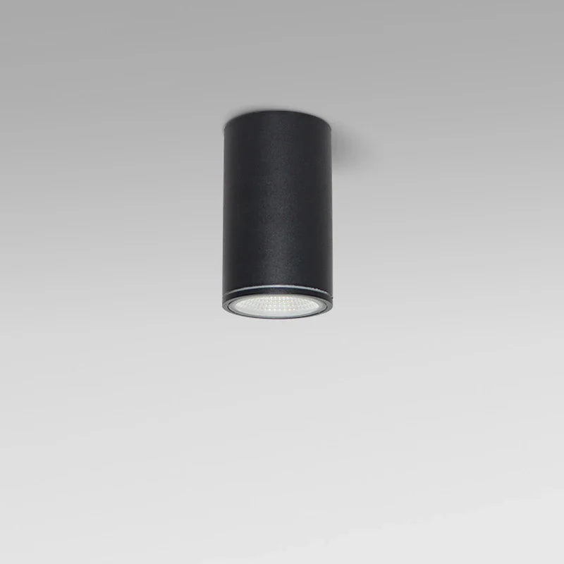 Afralia™ Outdoor LED Ceiling Lights for Kitchen Hallway Lighting Fixtures