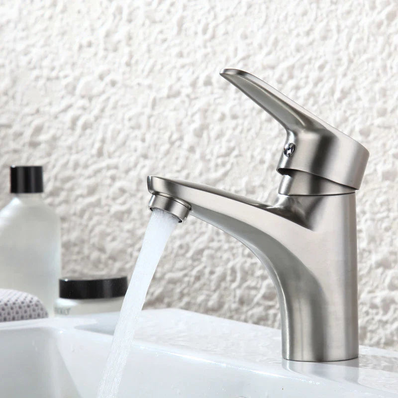 Afralia™ Stainless Steel Basin Faucet with Single Handle, Hot Cold Mixer Taps