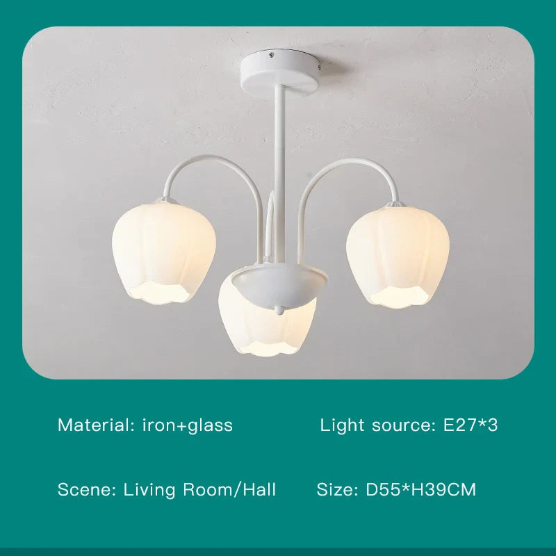 48218226950448|48218226983216