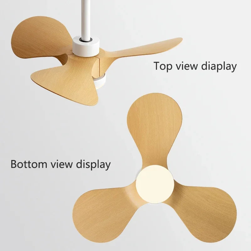 Afralia™ 24-Inch Mini Ceiling Fan with Lights, Modern Design for Home and Office