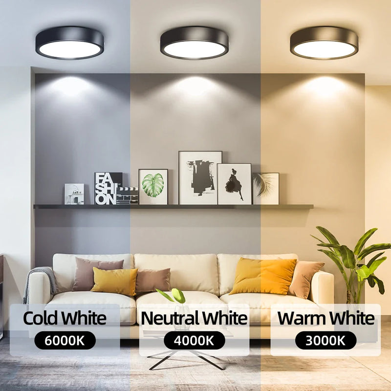 Afralia™ LED Ceiling Lamp 220V Indoor Lighting Fixture for Kitchen Room & Platform