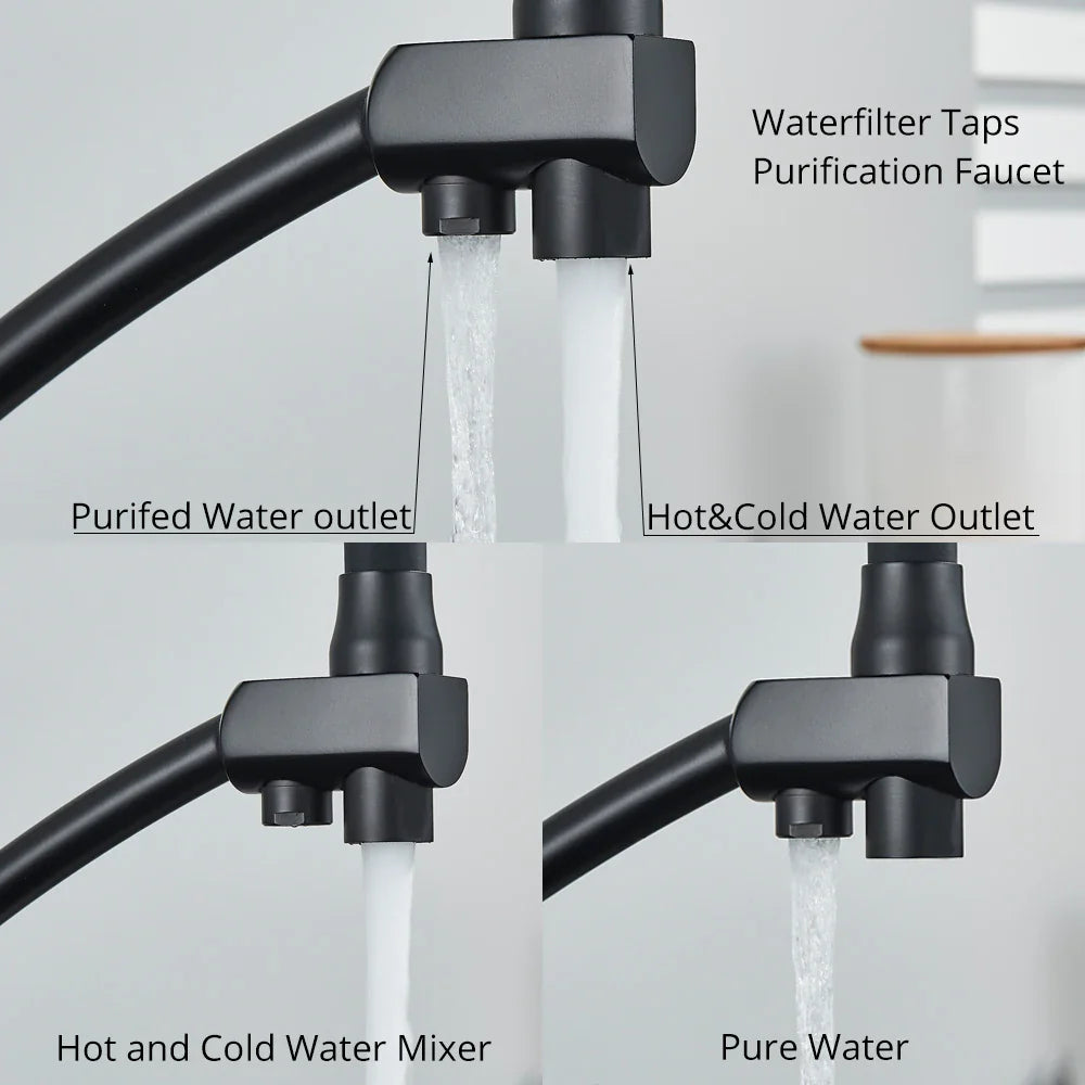 Afralia™ Dual Spout Kitchen Faucet with Water Purification and Flexible Rotation