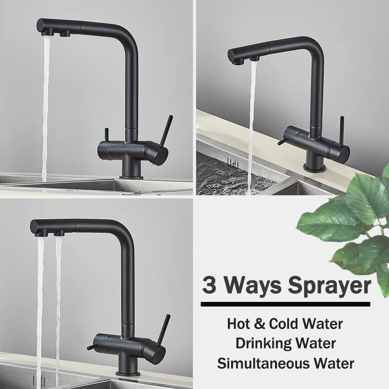 Afralia™ Black Pull Out Water Purifier Faucet: 2-in-1 Hot Cold Mixer Tap