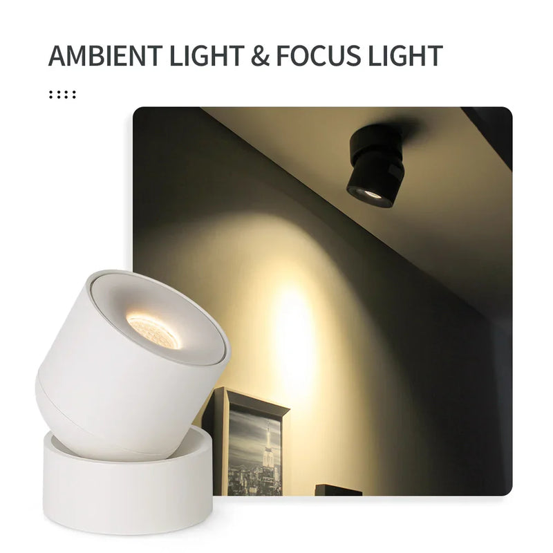 Afralia™ 9W COB LED Ceiling Spotlight 360° Rotation Modern Surface Mounted Lamp