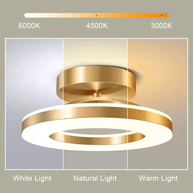 Afralia™ LED Ceiling Lamp for Home Decor Bedroom Dining Living Balcony Lighting