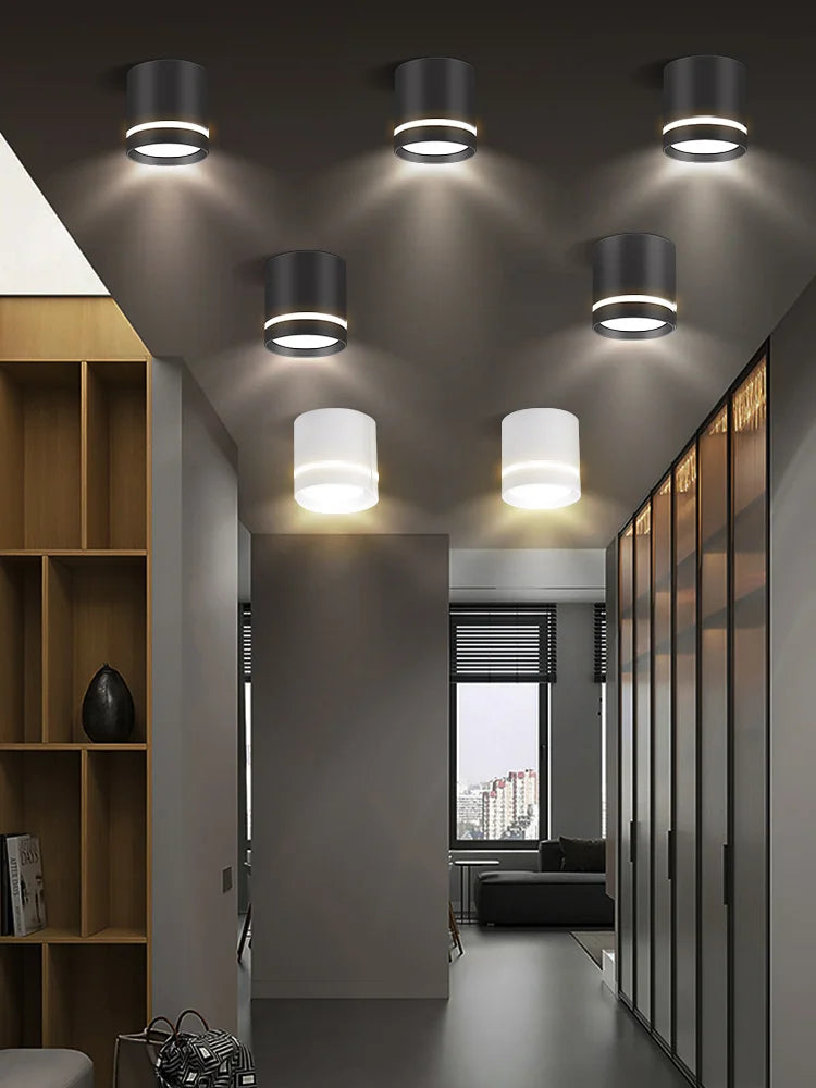 Afralia™ LED Spot Lighting: Ceiling Downlight for Living Room, Store Spotlight Chandelier