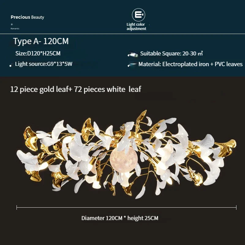 45284431560957|45284431659261|45284431692029|45284431724797|45284431757565|45284431855869