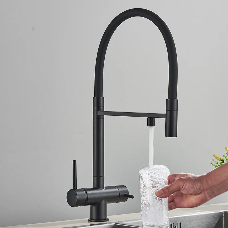 Afralia™ Black Kitchen Faucet with Pull Down Sprayer and 2-in-1 Purification Technology