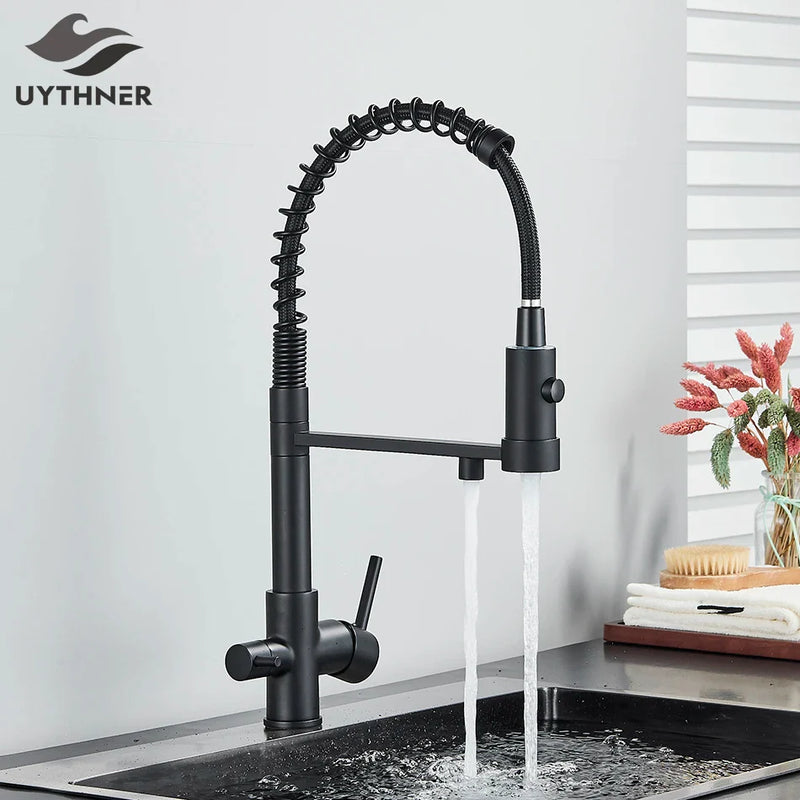 Afralia™ Dual Spout Kitchen Water Filter Faucet with Rotation Water Purification Feature