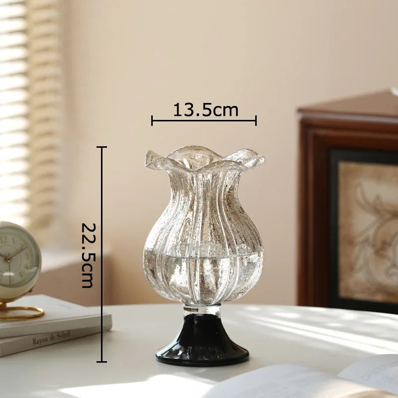Afralia™ Glass Vase for Hydroponics Plant Pot Room Decor & Flower Arrangement