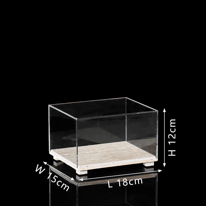 Acrylic Display Case on Travertine Base by Afralia™ for Collectibles, Figurines, Desserts
