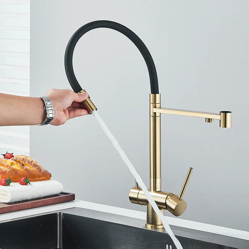 Afralia™ Brushed Gold 360 Rotate Pull Out Kitchen Filter Faucet with Dual Handle