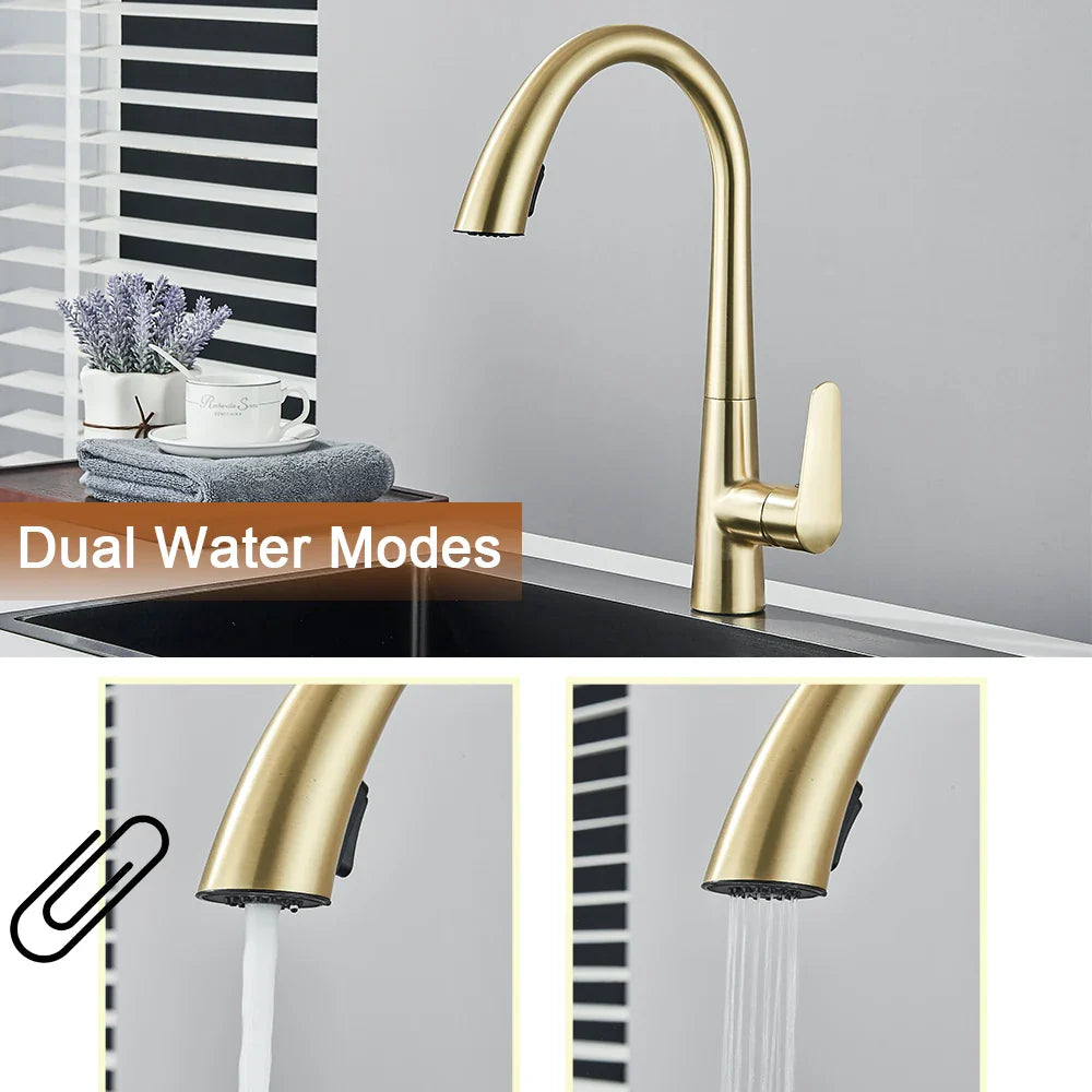 Afralia™ Brushed Gold Gourmet Kitchen Faucet with Flexible Pull Out Mixer Tap