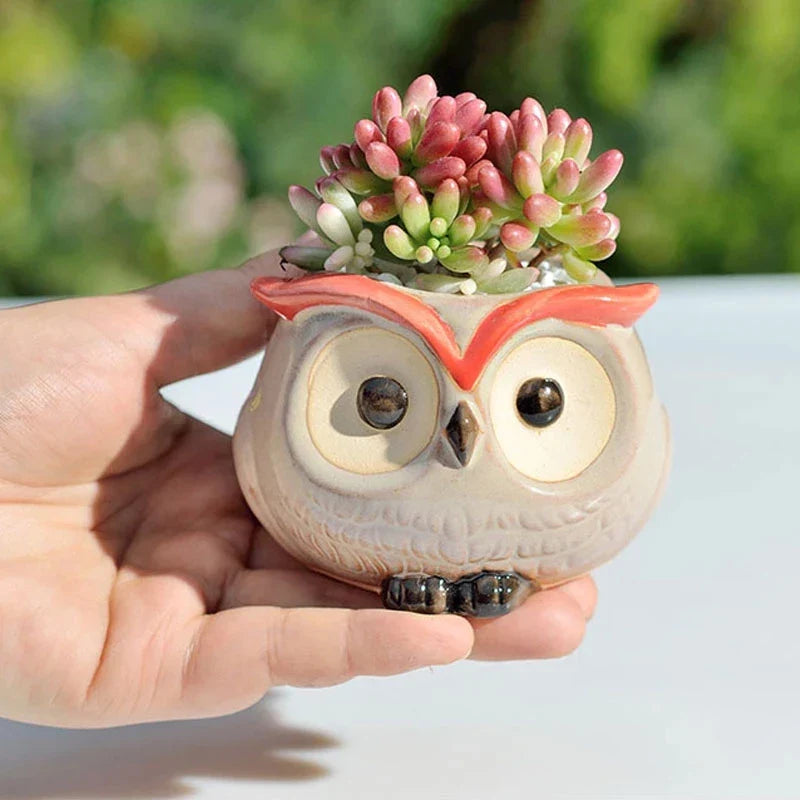 Afralia™ Mini Owl Flower Pot Succulent Ceramic European Style Cute Animal Garden Decor
