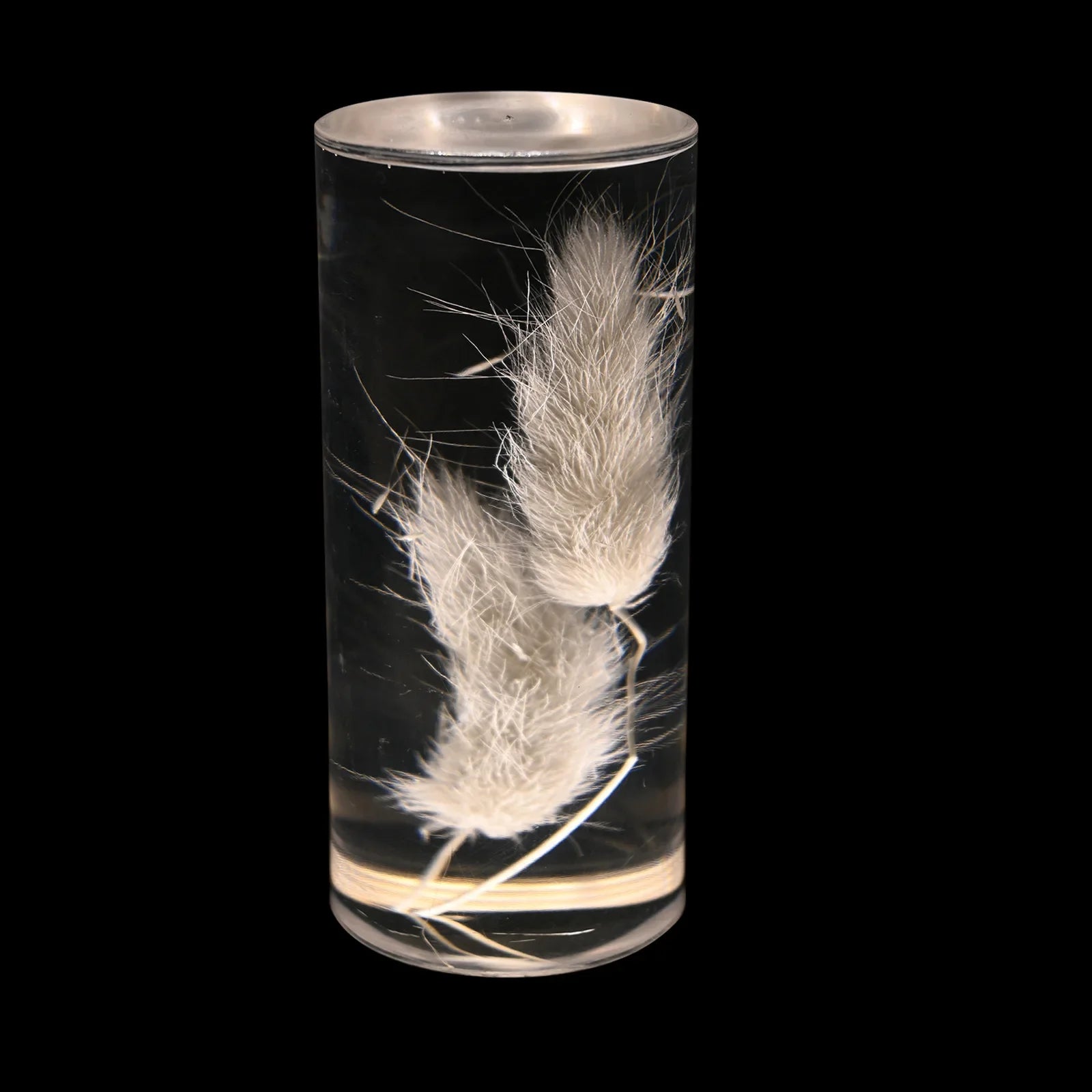 Afralia™ Eternal Flower Acrylic Desk Lamp LED Nightlight Bedroom Bedlight Decoration