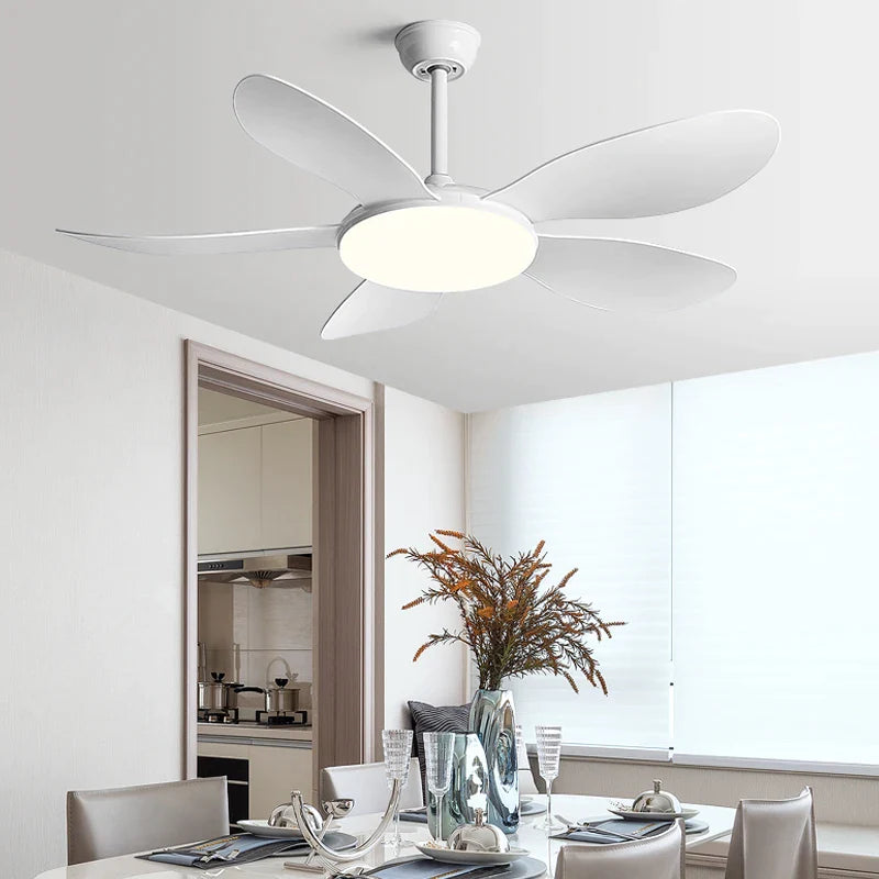 Afralia™ Black DC Ceiling Fan Light Strong Wind Indoor Electric Fan 2023