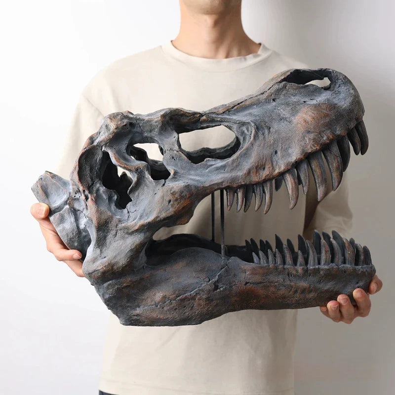 Afralia™ T rex Skull Model Dinosaur Ornament Figurine for Home & Office Decor