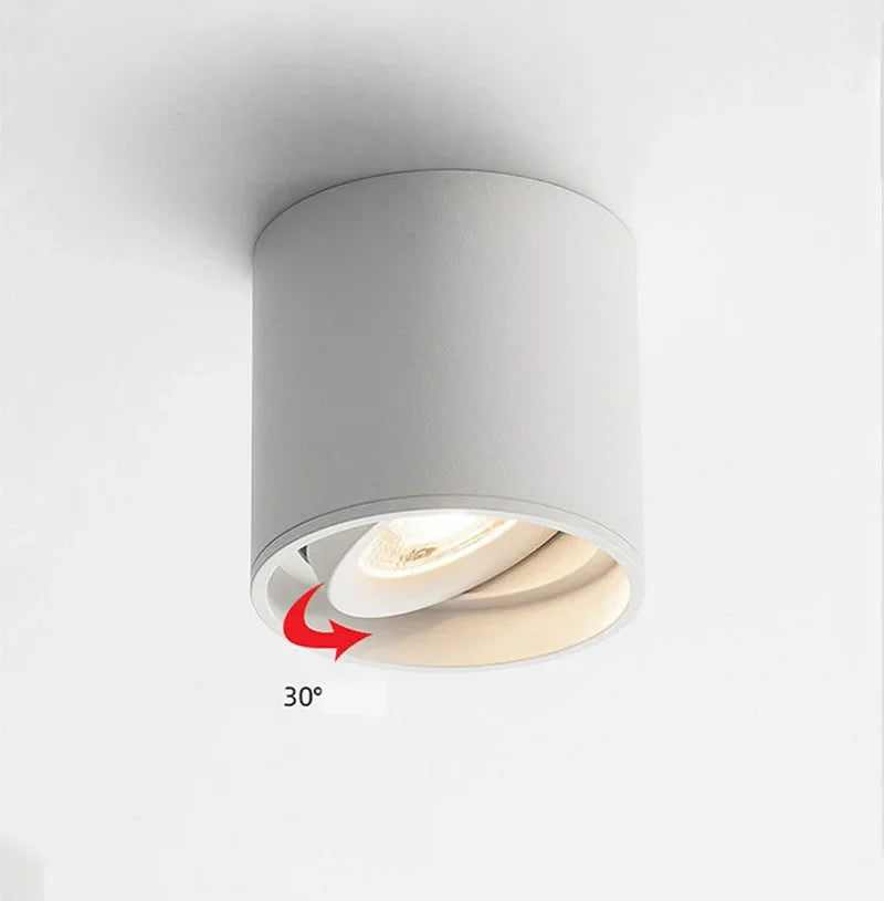 Afralia™ Aluminum Ceiling Lamp: Cylindrical Surface Mounted Downlight with Adjustable Beam Angle