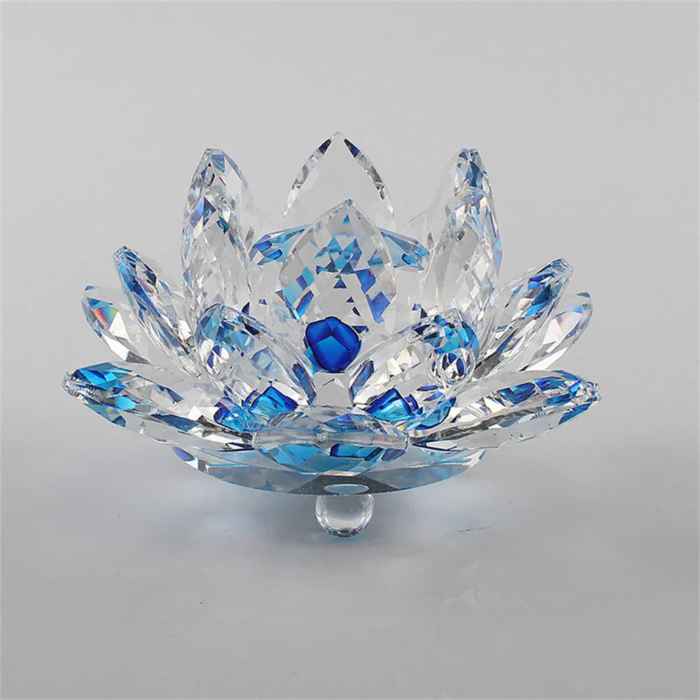 49433236406577|49433236504881