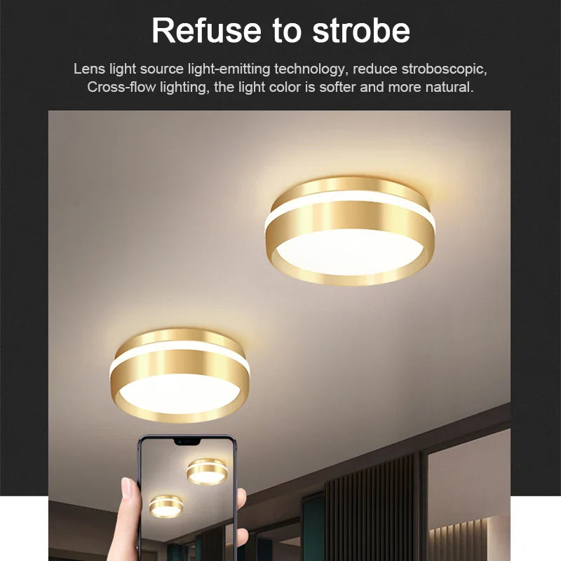 Afralia™ LED Ceiling Lamp: Aisle Corridor Bedroom Living Room Indoor Light