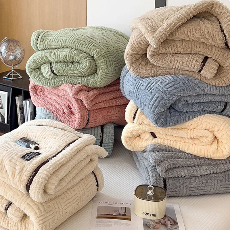 Afralia™ Soft Coral Fleece Sofa Blanket for Autumn Winter, Single Double Comforter