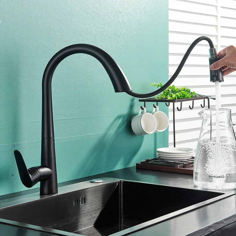 Afralia™ Black Kitchen Faucet with Pull Out Sprayer and Single Lever Control