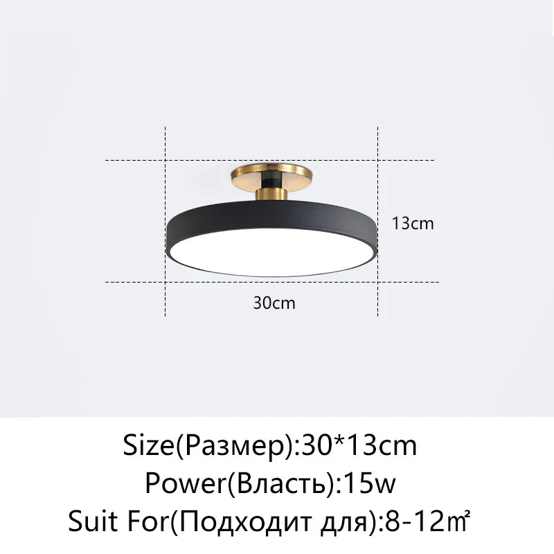 Afralia™ LED Ceiling Lamp for Living Room Study Child Bedroom Indoor Lighting