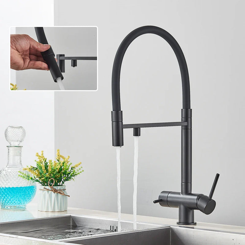 Afralia™ Black Kitchen Faucet with Pull Down Sprayer and 2-in-1 Purification Technology