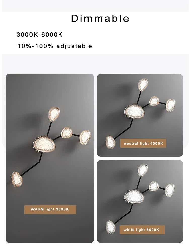 Afralia™ Modern Luxury Wall/Ceiling Large Decoration Lights