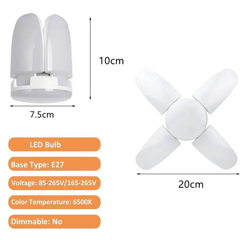 45276713582845|45276713648381|45276713681149|45276713713917|45276713746685