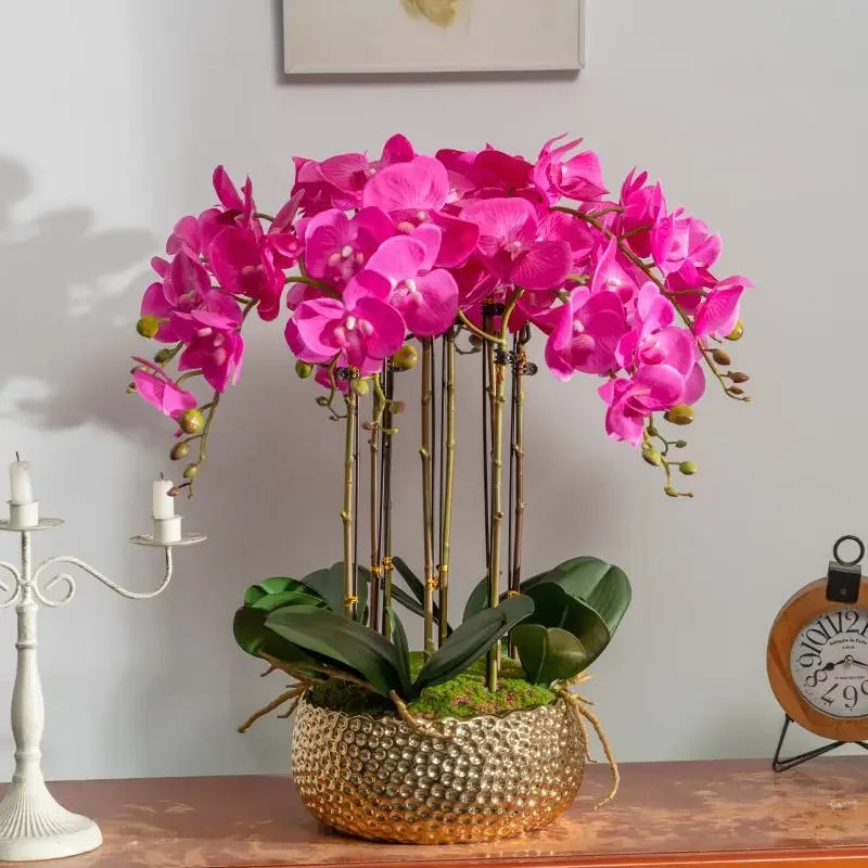 Afralia™ Phalaenopsis Flower in Pot: High-End Hand Moisture Simulation & Art Decoration