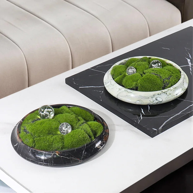 Afralia™ Marble Serving Tray & Decorative Flower Pot for Coffee Table & Green Moss Plant