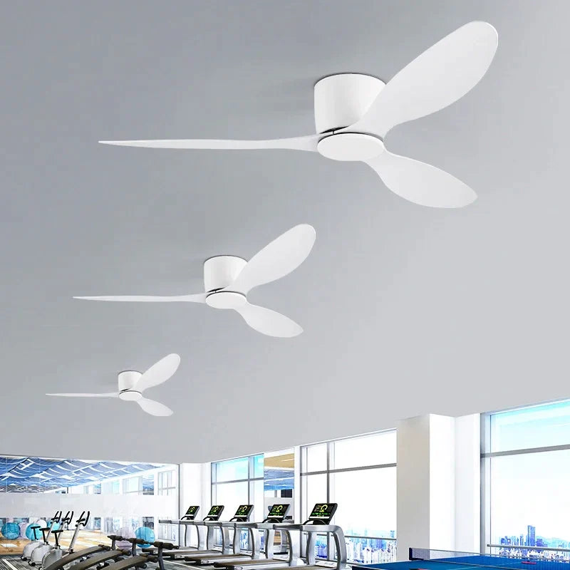 Afralia™ Modern 22CM Ceiling Fan: Remote Control, DC Motor, 6 Speeds, Timer, Low Floor Loft Integration