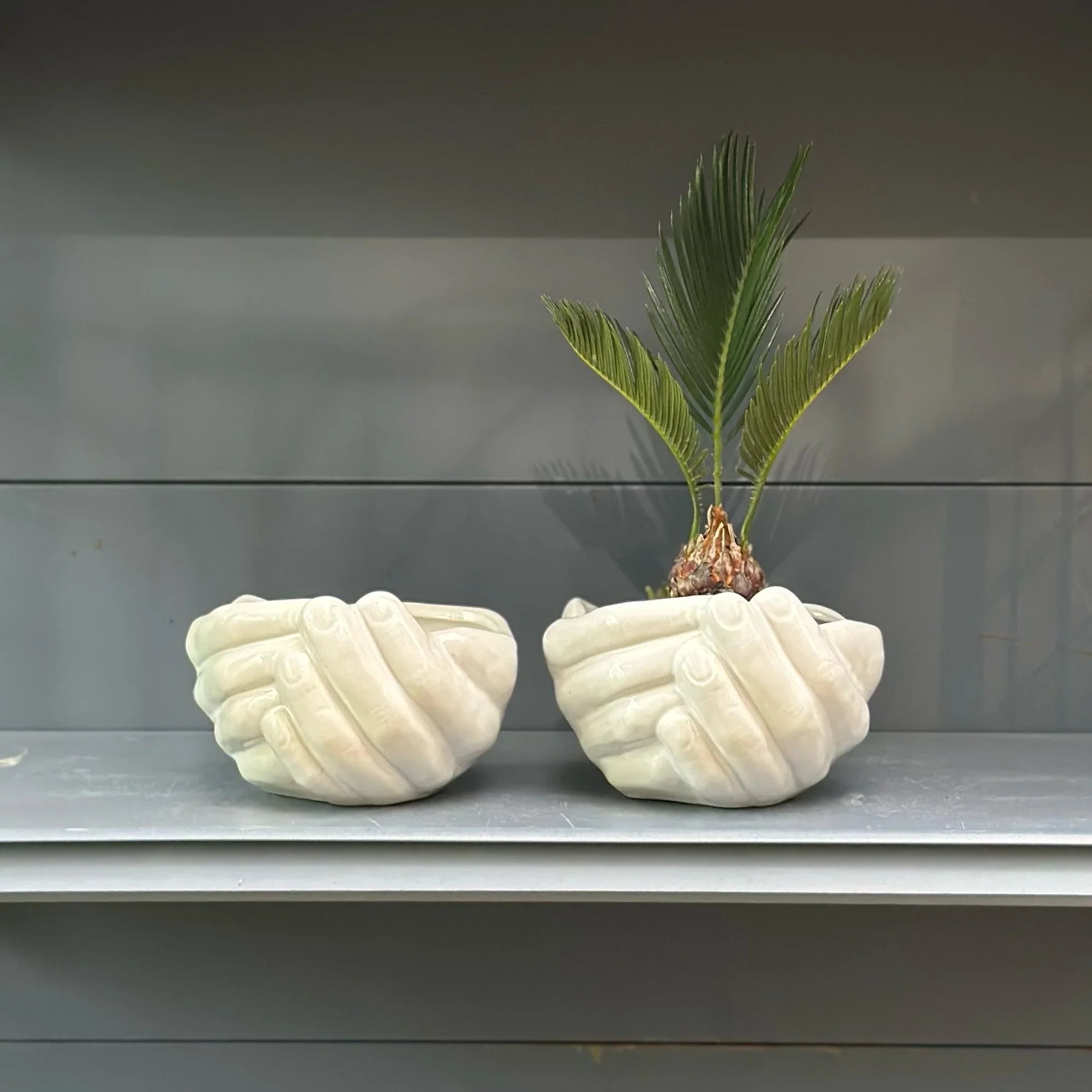 Afralia™ Ceramic Palm Flowerpot Vase Tray Home Decor Accessory